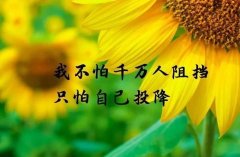 毕节怎么报名分类招生