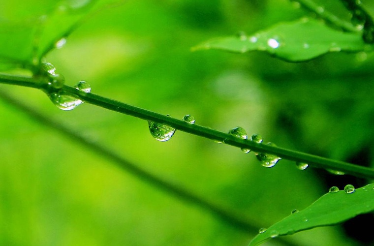 六盘水高职分类招生怎么样