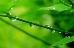 毕节高职分类招生怎么样