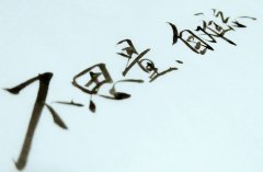 毕节分类招生高考报名时间
