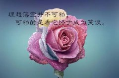 毕节分类招生需要高考吗